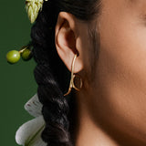 Brinco Ear Hook Raiz Banho Ouro 18k