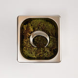 Bracelete Aetherea Prata