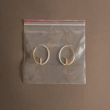 Argola Cipó Prata e Banho Ouro 18k