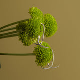 Brinco Ear Hook Raiz Prata